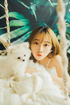茄子视频
